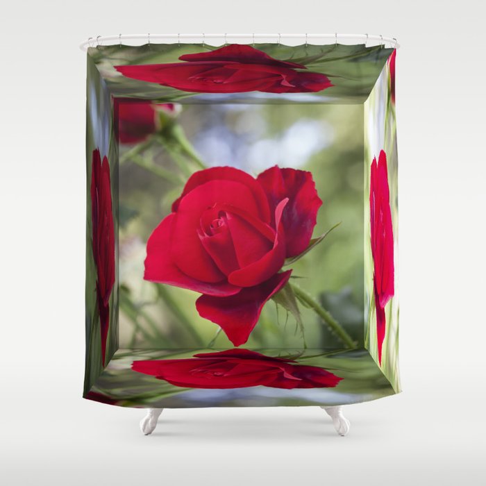 Rose Mirror Box Shower Curtain By Designsdeborah Society6