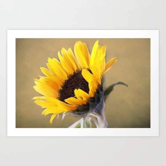 Bright Hope Art Print