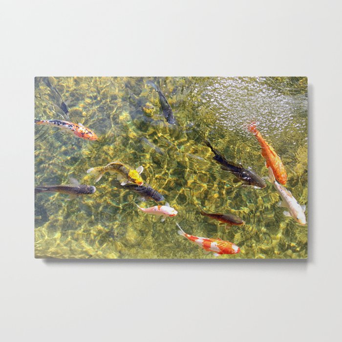 fish Metal Print