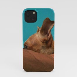 MADiSON (shelter pup) iPhone Case