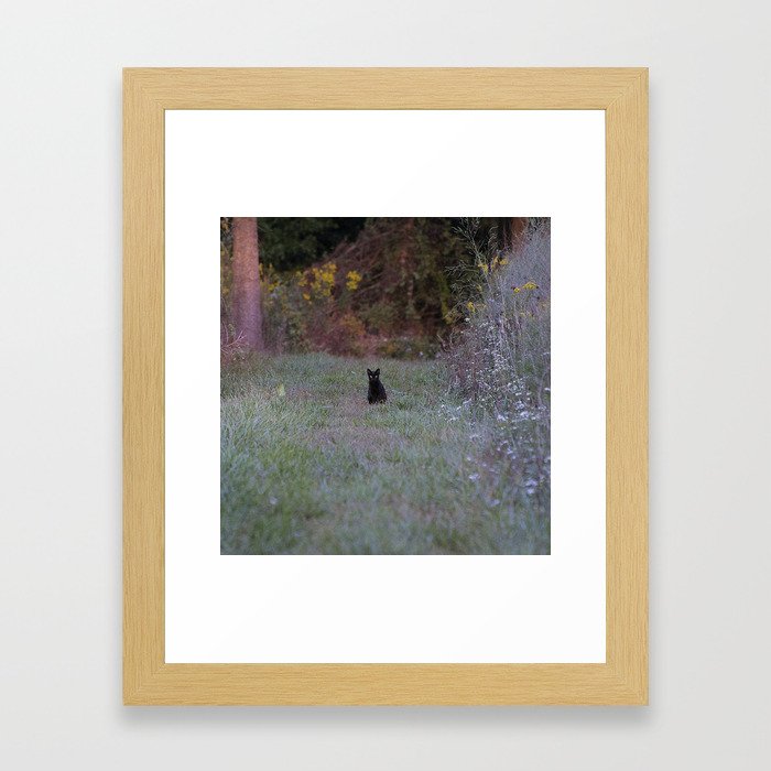Autumn Black Cat Yellow Eyes Framed Art Print