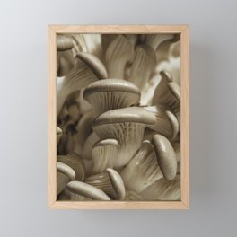 Oystrer mushrooms Framed Mini Art Print