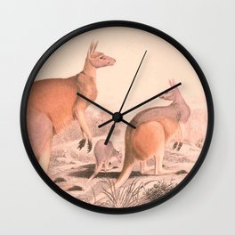 Vintage Kangaroo Family Illustration (1849) Wall Clock | Kangarooartwork, Family, Australiaanimal, Illustration, Australia, Kangaroos, Australianwildlife, Australiawildlife, Art, Artwork 