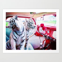Tigers in the Car Art Print