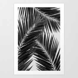 Palm Leaf Black & White III Art Print
