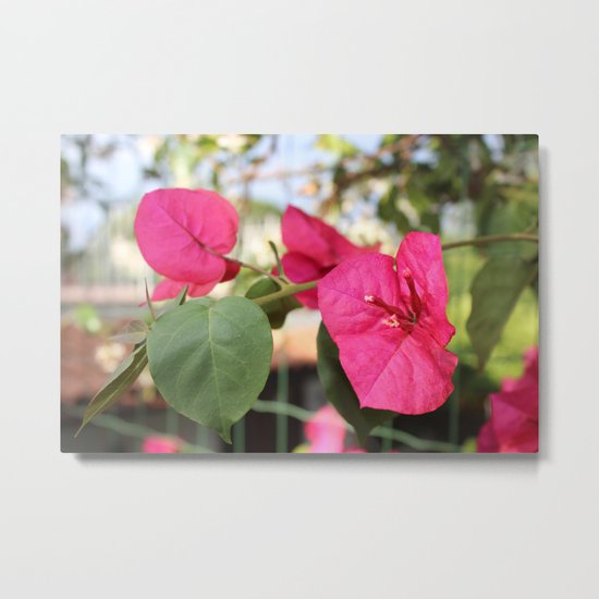 Violet Flower Metal Print