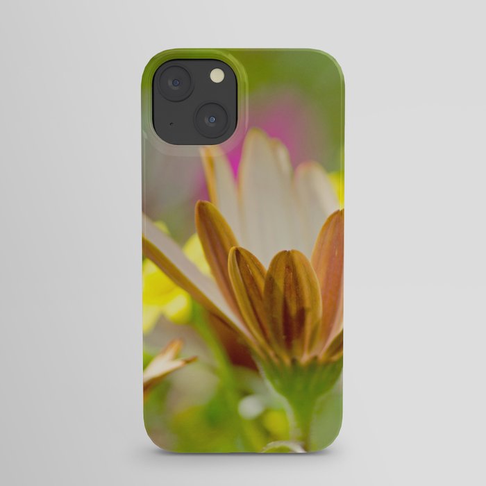 Pastel Meadow iPhone Case