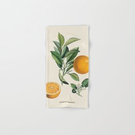 Orange Antique Botanical Illustration Hand & Bath Towel