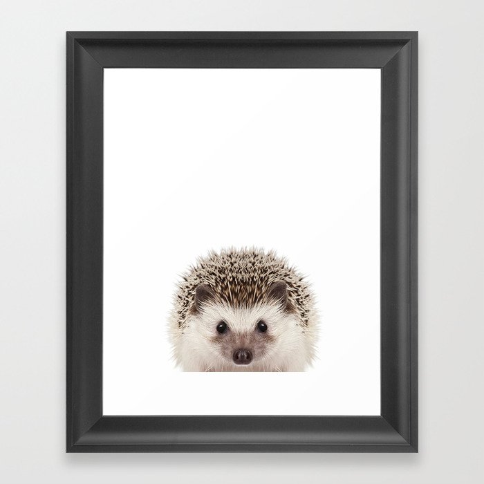 Baby Hedgehog Framed Art Print