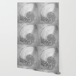 Chambered nautilus in grey Wallpaper
