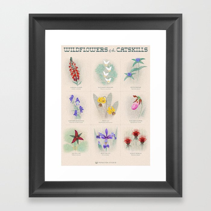 Wildflowers Of The Catskills Framed Art Print