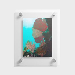 Colored Corals in Mexico | Underwaterworld  Floating Acrylic Print