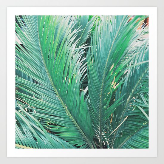 Fronds Art Print