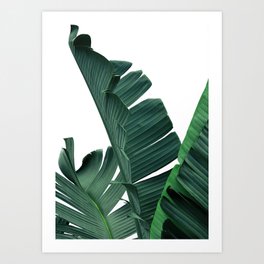 Green Leaf Art Prints For Any Decor Style Society6