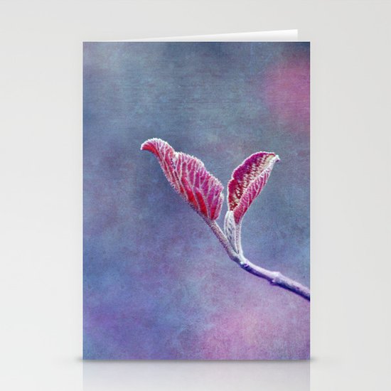 two Stationery Cards