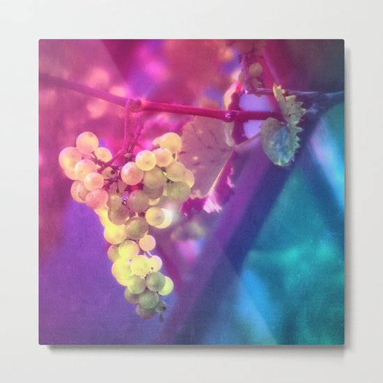 SUMMER GRAPES Metal Print
