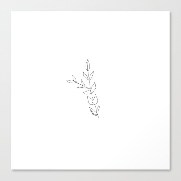 Linear Eucalyptus Minimal Drawing Canvas Print