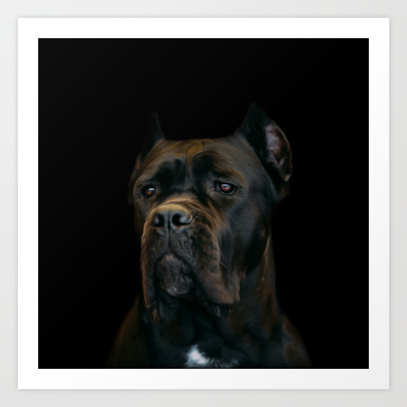 Cane Corso Italian Mastiff Art Print By K9printart Society6