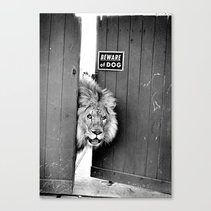 Beware of Dog black and white photograph of attack lion humorous black and white photography Canvas Print