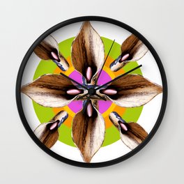 Aroid-o-scope: Dustin Gimbel Ceramics Wall Clock