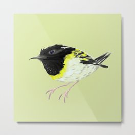 Stitchbird Metal Print | Acrylic, Bird, Painting, Cute, Digital, Newzealand, Ajbis, 5Dwizard, Nz, Naive 
