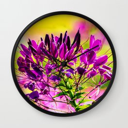 Cleome hassleriana violet queen spider flower Wall Clock