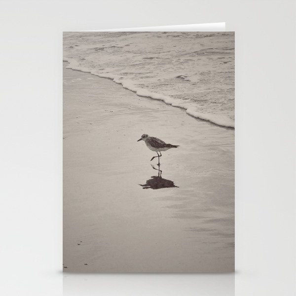 Bird on the beach Stationery Cards