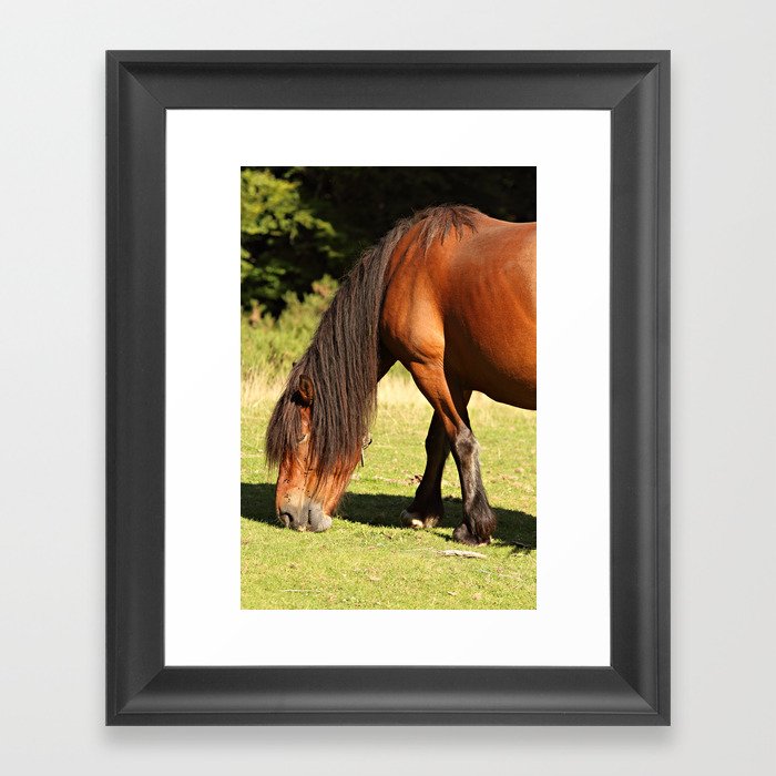 Horse eating Framed Art Print