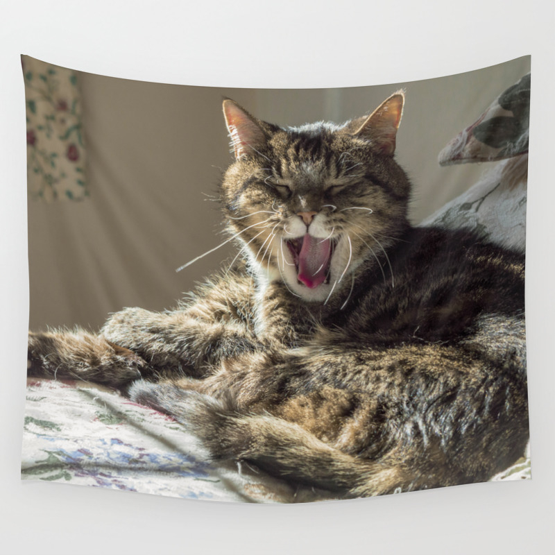 The Laughing Cat Wall Tapestry By Attemptingpatti Society6