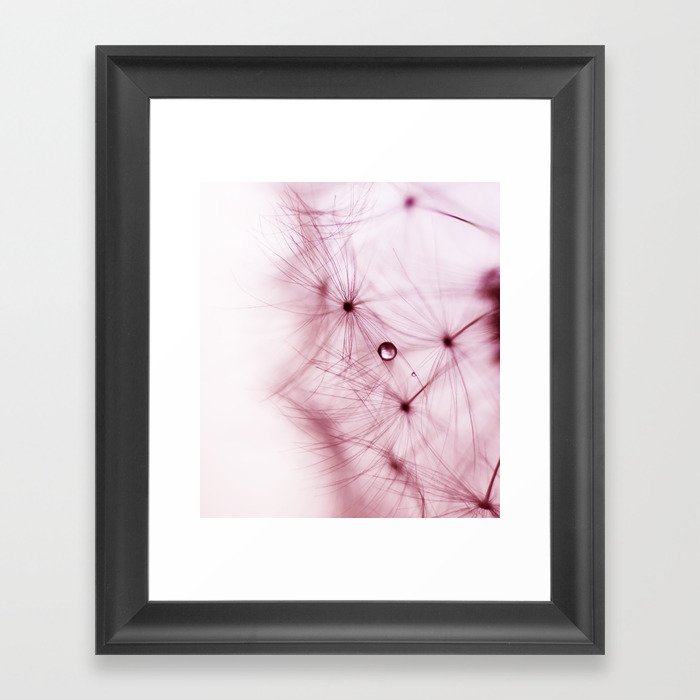 Pink Flower - Dandelion - Blush Pink - Feminine Pastel Floral Nature photography Framed Art Print