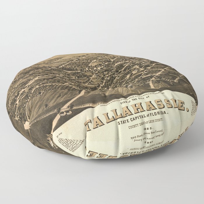 Aerial View of Tallahassee, Florida (1885) Floor Pillow