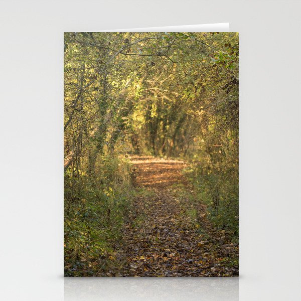 Forest Pathway Stationery Cards