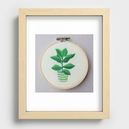 Rubber Plant Recessed Framed Print
