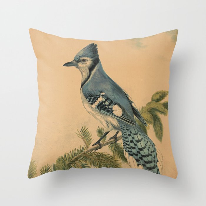 Throw Pillow