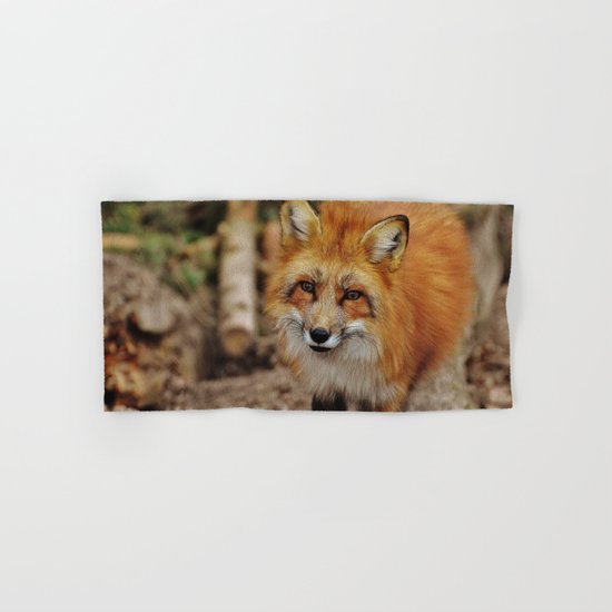 Fox Hand & Bath Towel