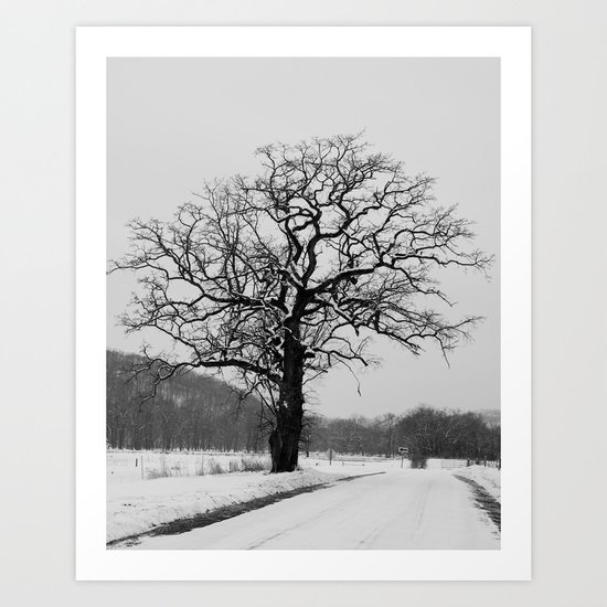 Winter Oak Art Print