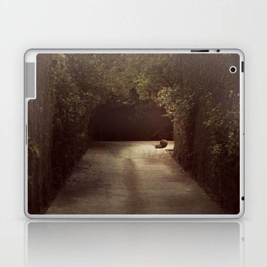 little by little Laptop & iPad Skin