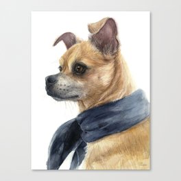 Chug Chihuahua Pug Mix Portrait Canvas Print