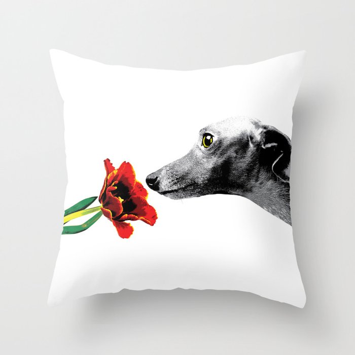 Italian Greyhound smelling flower Throw Pillow