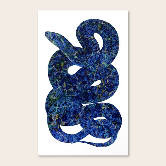 Cobra Canvas Print