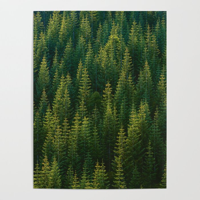 The Green Forest (Color) Poster