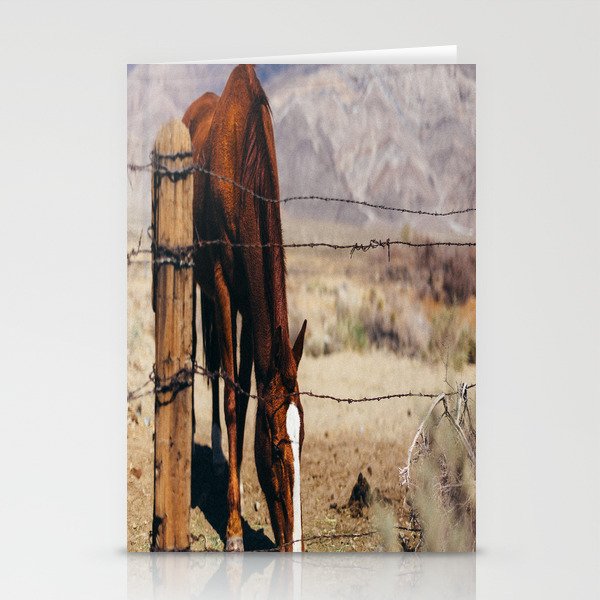 all the pretty horses Stationery Cards