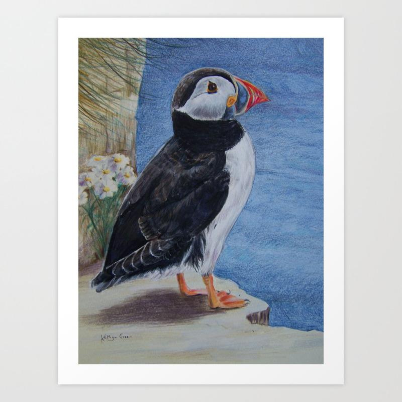 Puffin In Coloured Pencil And Watercolour Art Print By
