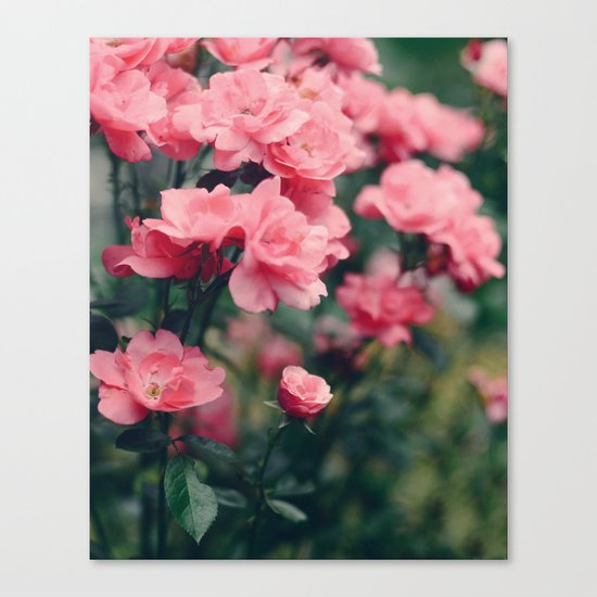 Grey Garden Canvas Print