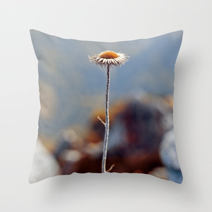 Alone at the top of the world Throw Pillow