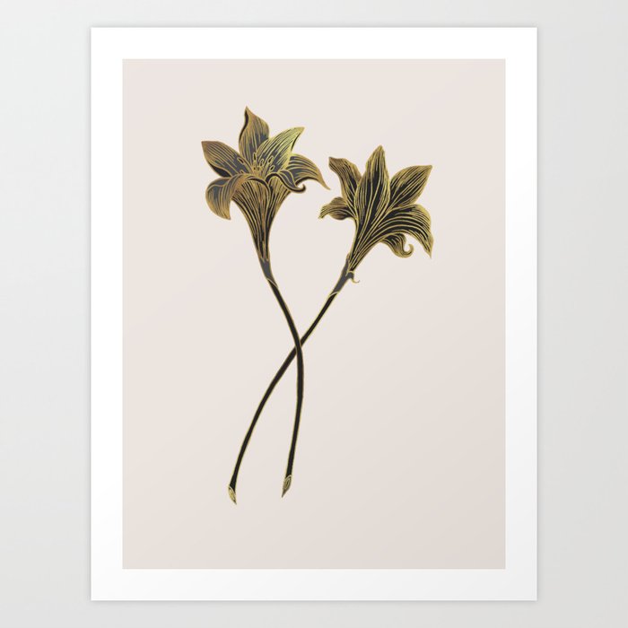 Indian Lily Daffodil Kunstdrucke | Drawing, Indian, Lily, Daffodil, Blumen, Pflanzenstoffe, Florals, Dark, Olooriel, Golden