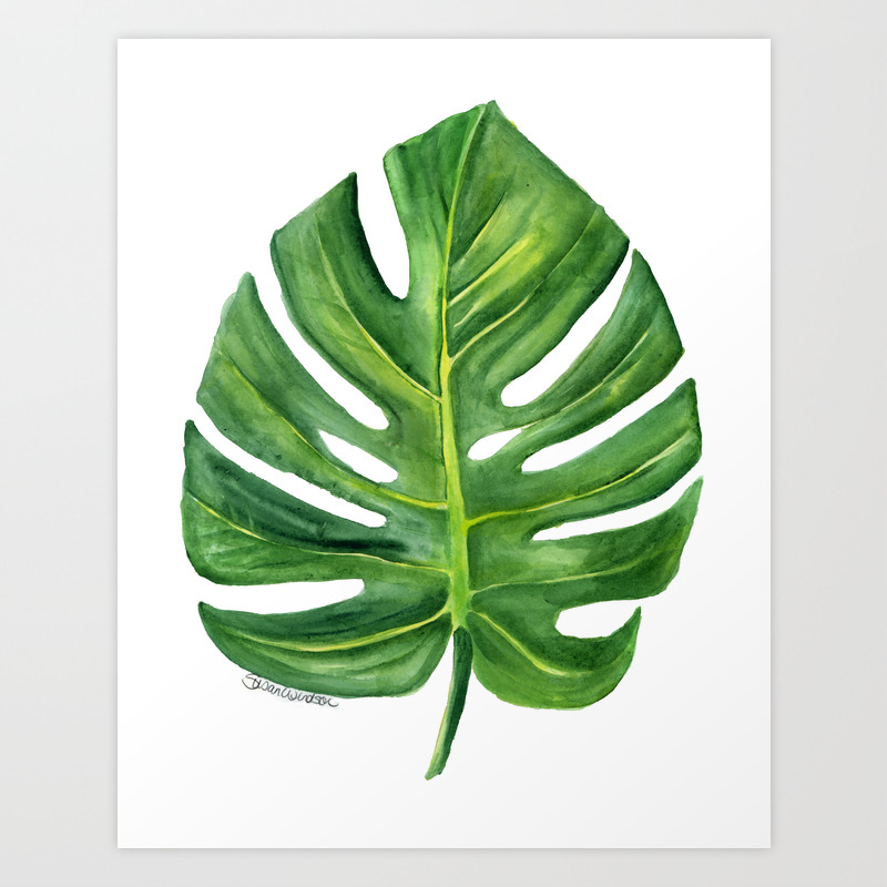 Monstera Leaf Watercolor Painting Art Print By Susanwindsor Society6