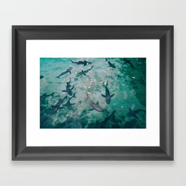 Shoal of Sharks (Color) Framed Art Print