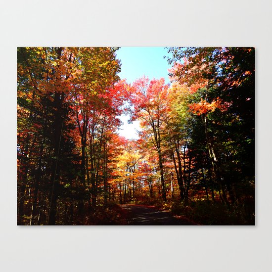 Eastern Quebec in Autumn Canvas Print