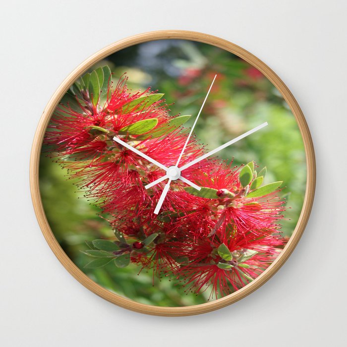 Calliandra Haematocephala Red Powderpuff  Wall Clock